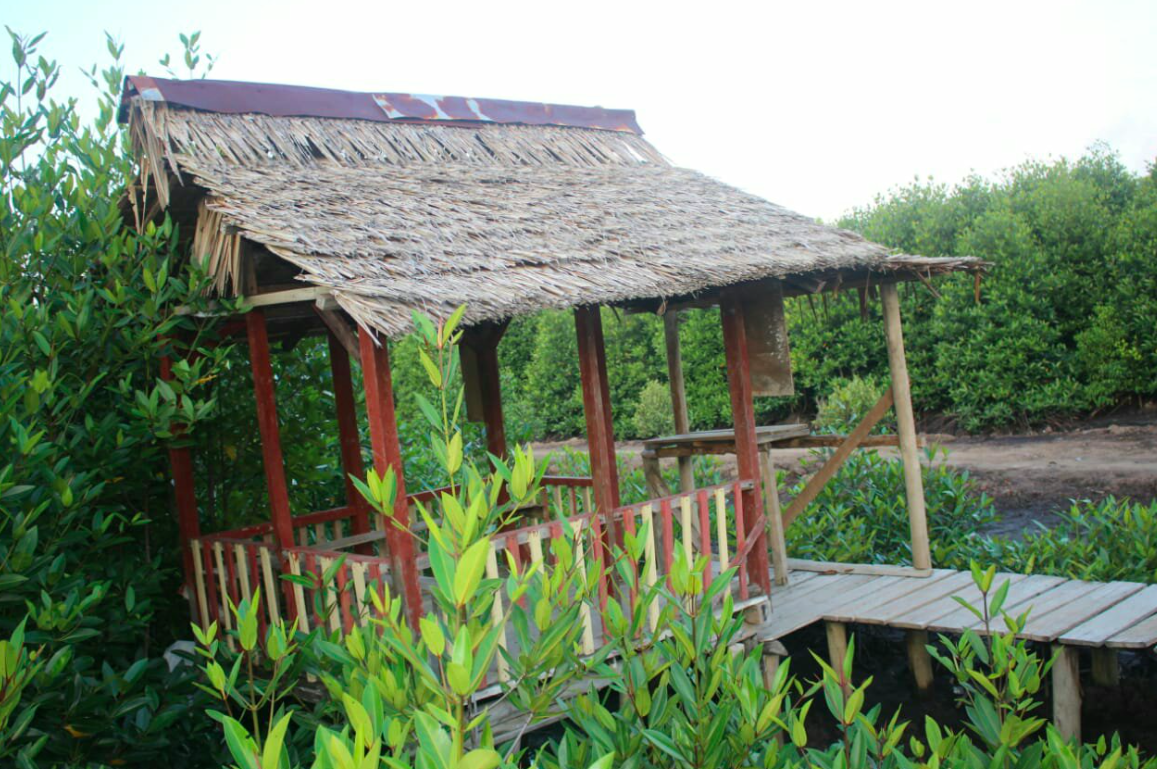 hutan-mangrove-sebauk-2.png