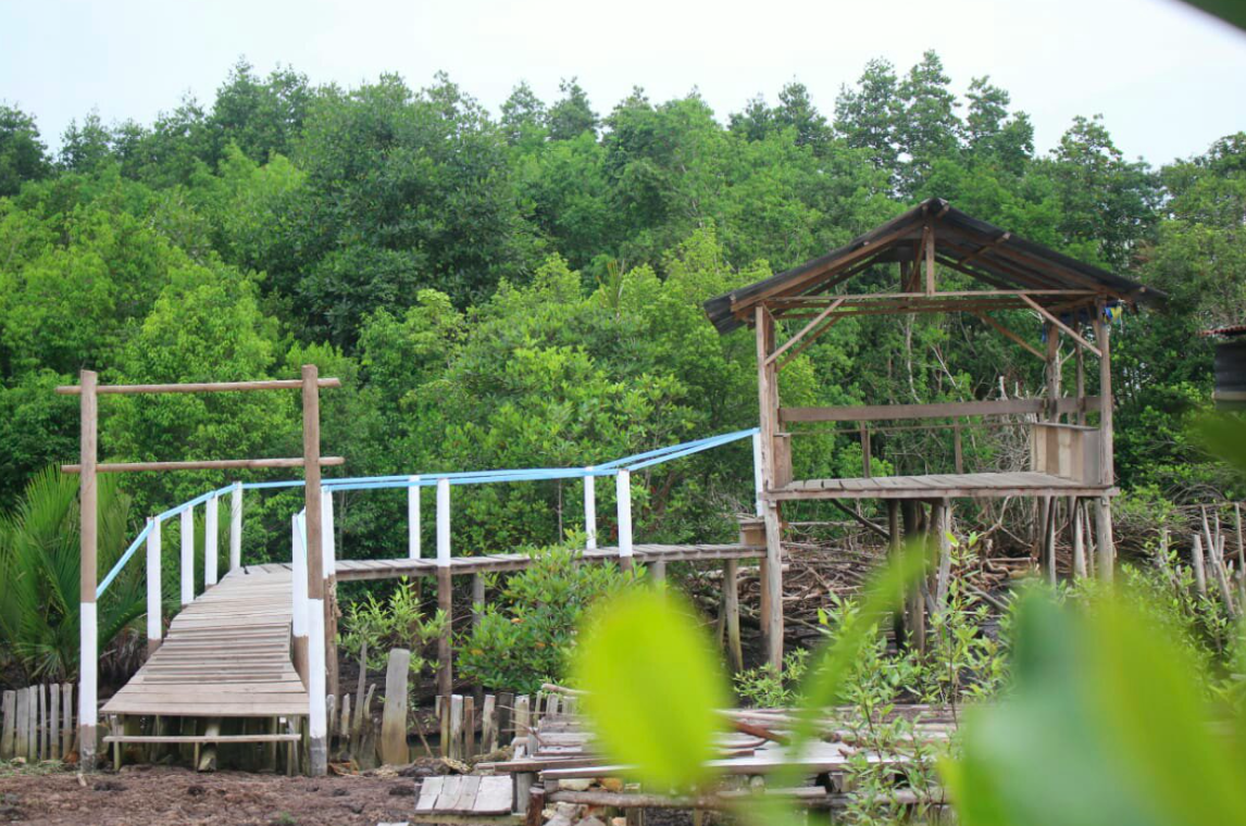 hutan-mangrove-sebauk-petani